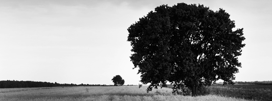 手机号自动轰炸